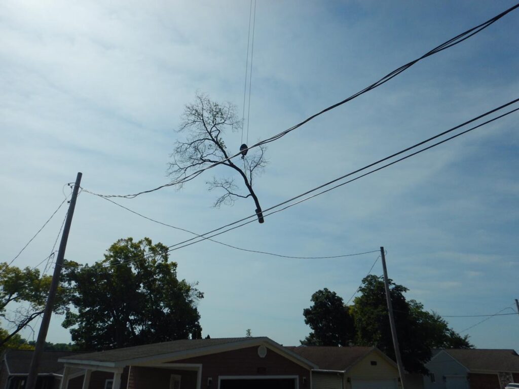 Grand Rapids Crane Gallery – Residential Grand Rapids Crane Gallery - Residential