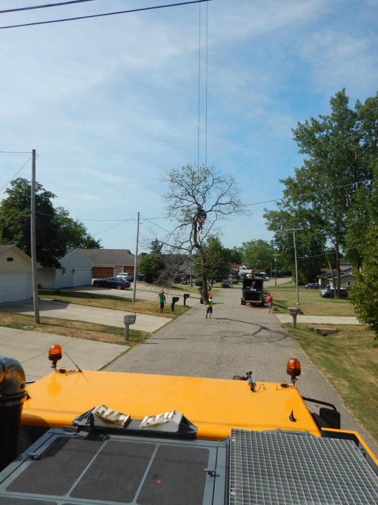 Grand Rapids Crane Gallery – Residential Grand Rapids Crane Gallery - Residential